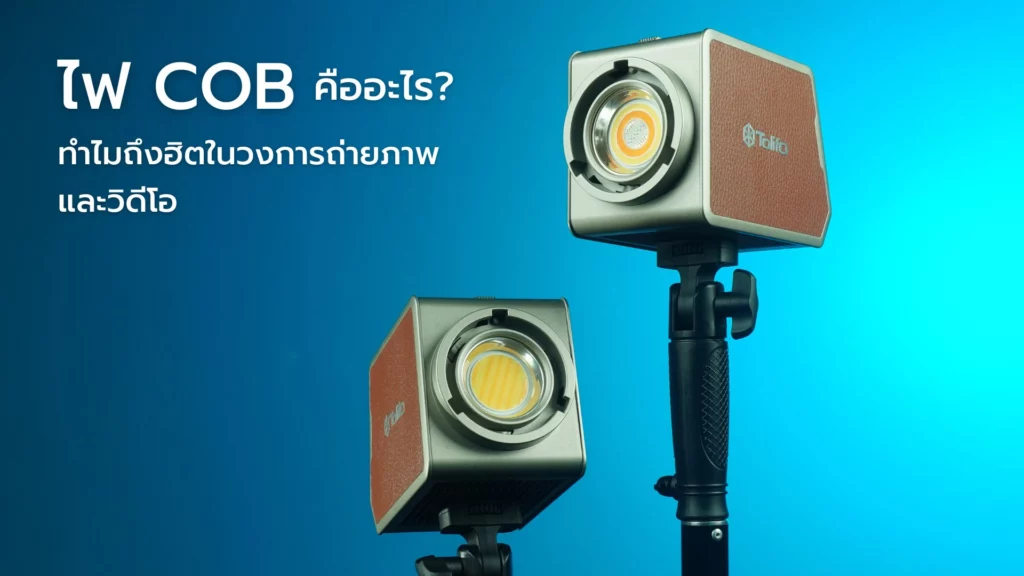 ไฟ Cob คืออะไร