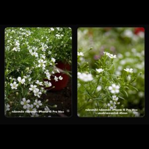Acm fotorgear fisheye 8mm (17)