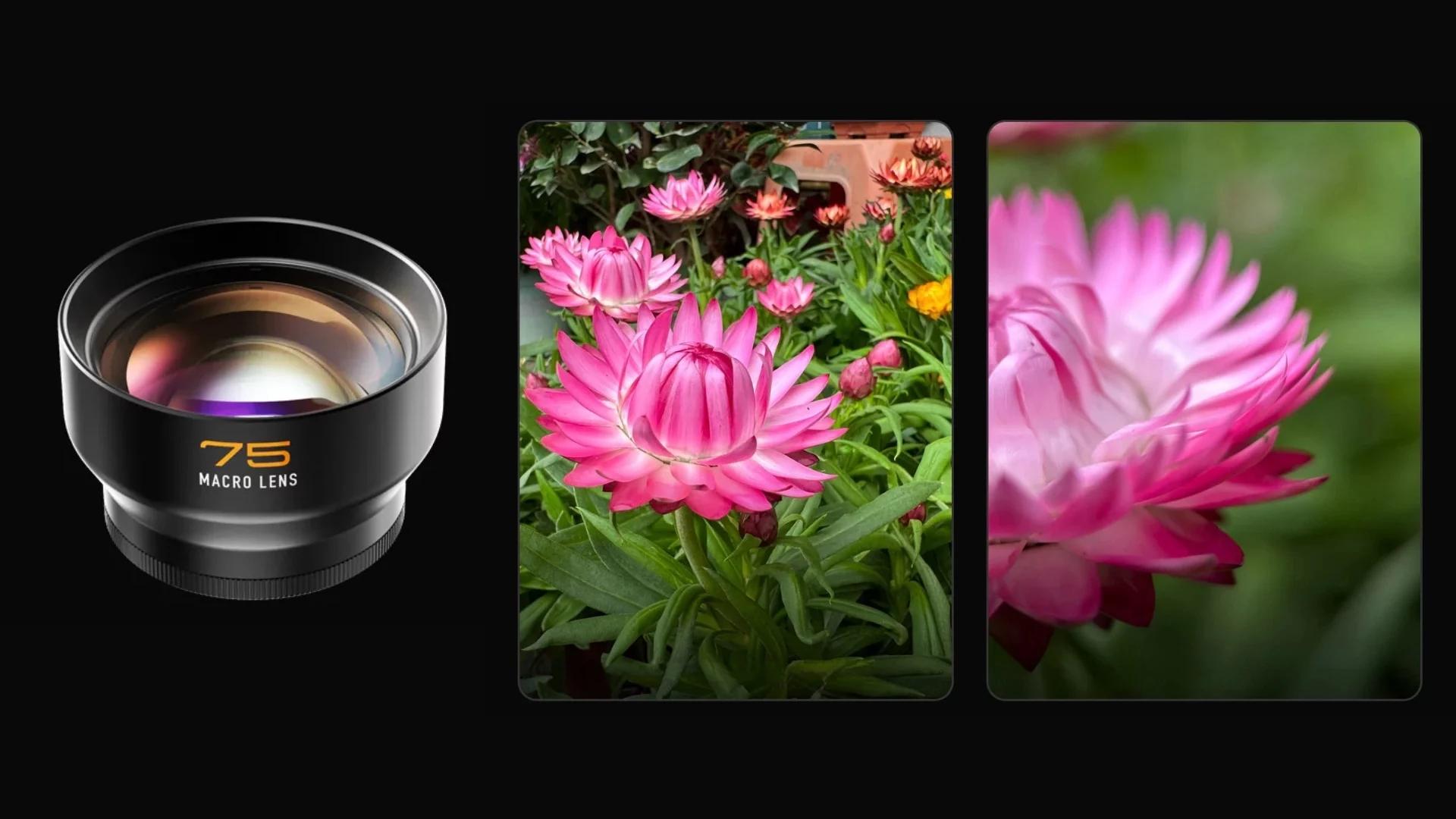 Lens 75mm macro fotorgear