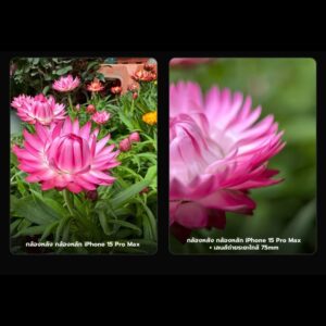 Macro 75mm (19)