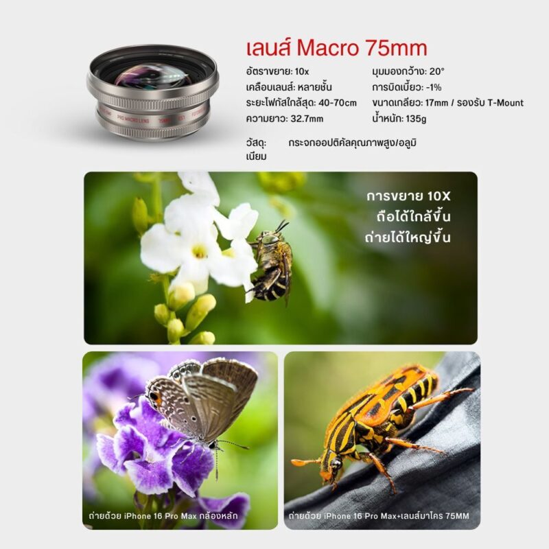 Set lens retro series (14)