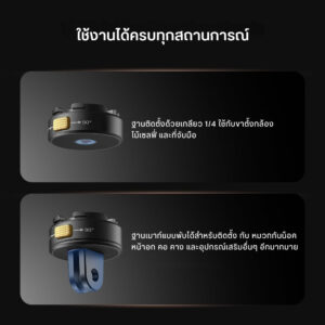 Gp 23 (4)